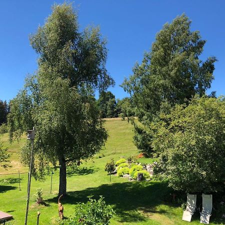 Haus Jurisch Apartment Urberg Bagian luar foto