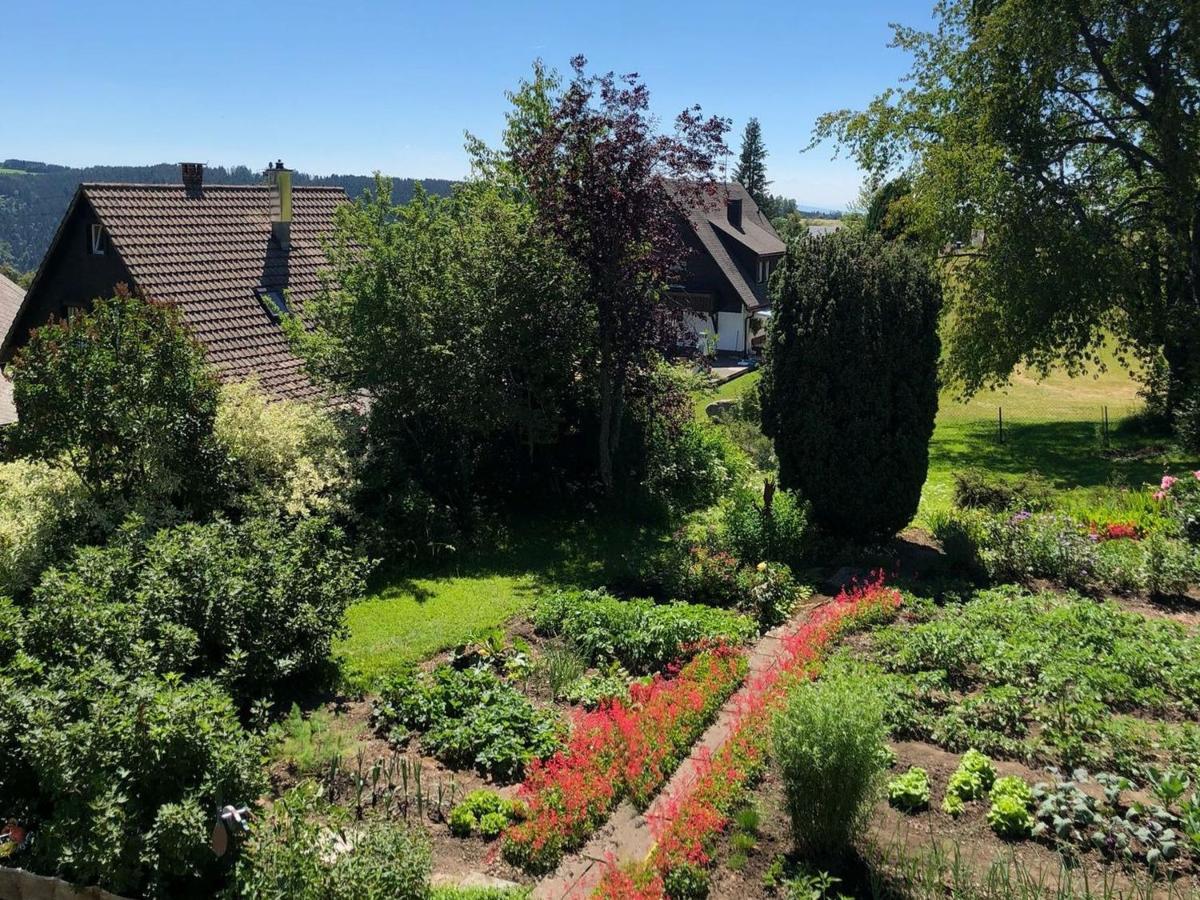 Haus Jurisch Apartment Urberg Bagian luar foto
